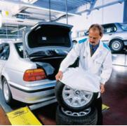 300165 Пакеты д/колес (100 шт/рул.) 650/210х855/860 Horn Bauer